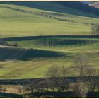 fields near westnewton 4