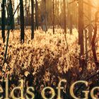 Fields of Gold