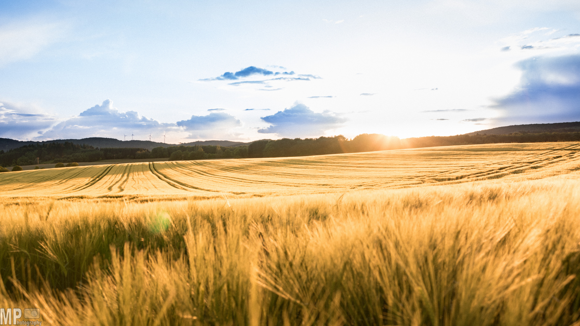 Fields of Gold 2