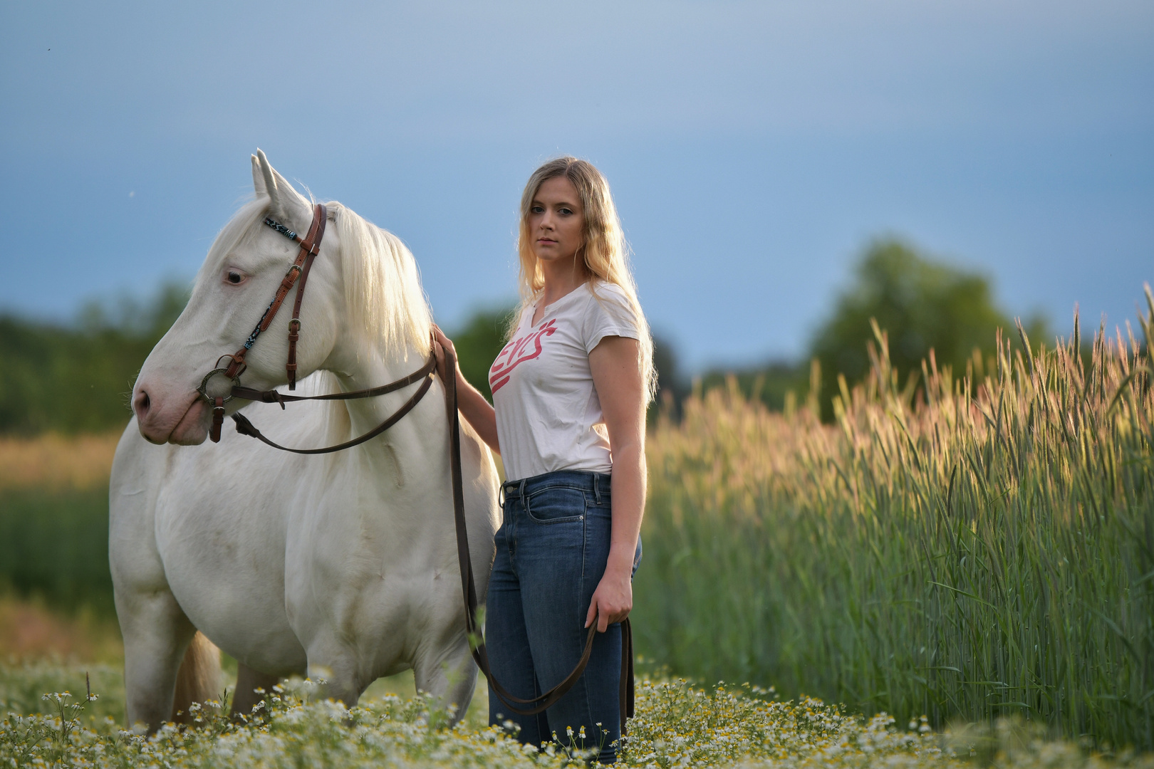 Fields of Gold