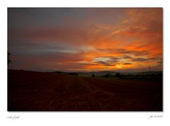 Fields of Gold