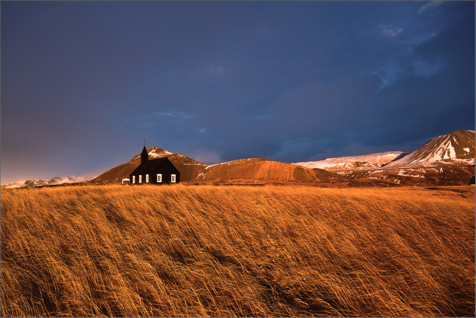 fields of gold