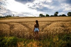 Fields of Gold