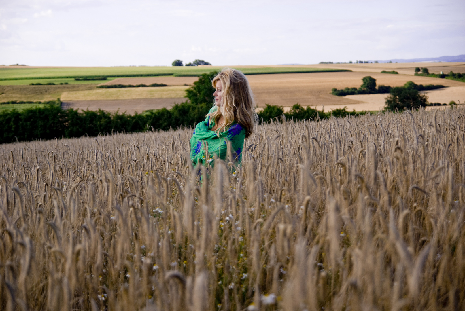 Fields of Gold