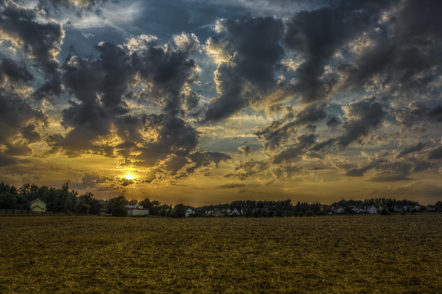 Fields of Gold