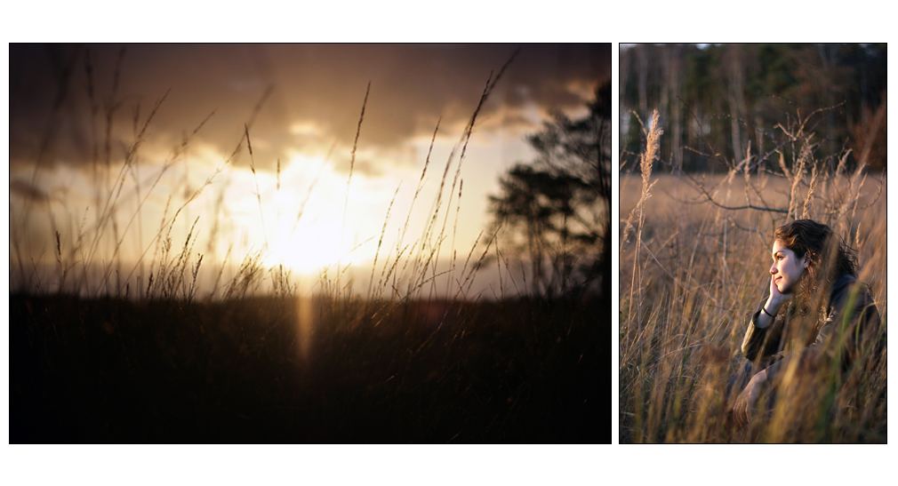 Fields of gold