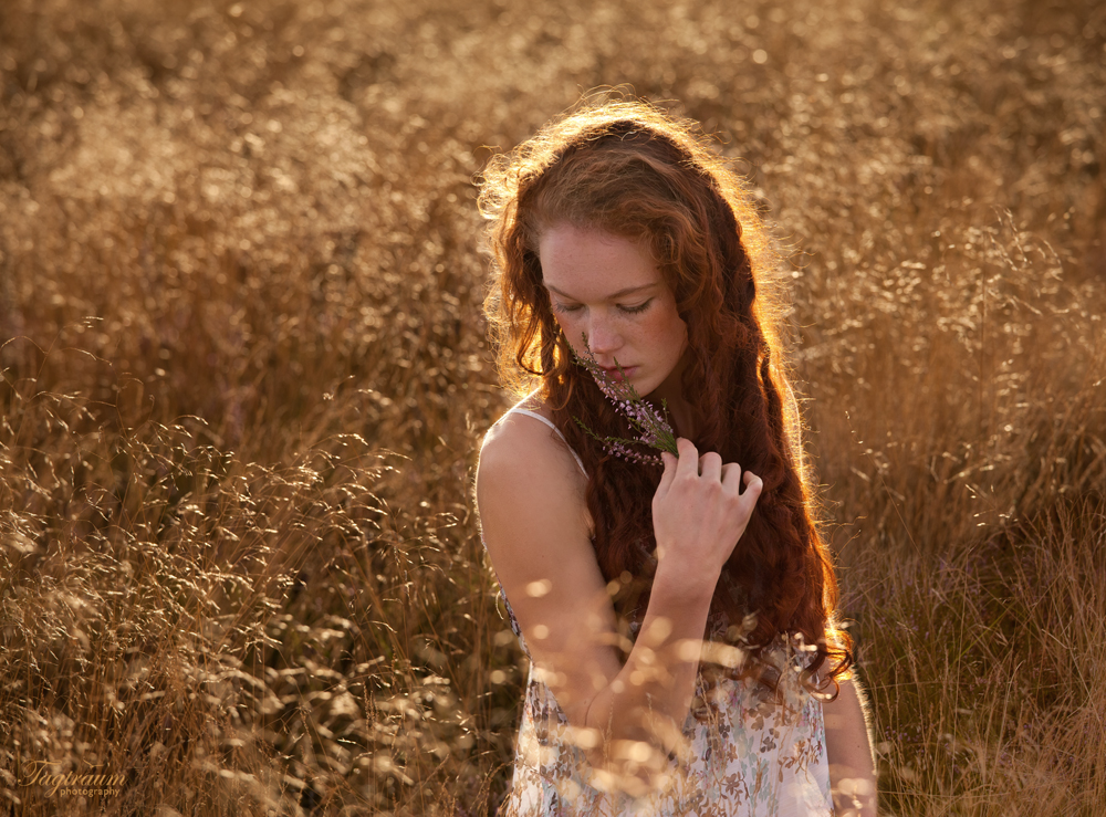 fields of gold*