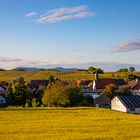 Fields of gold