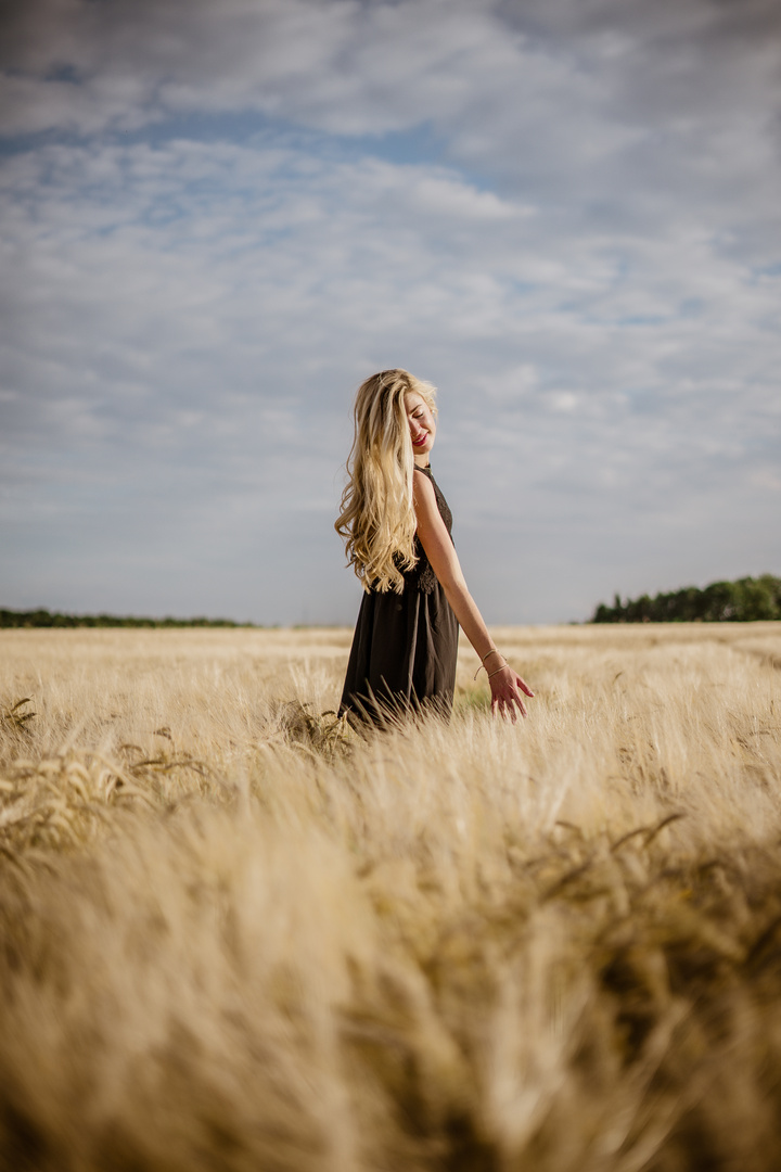 Fields of Gold