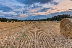 Fields Of Gold