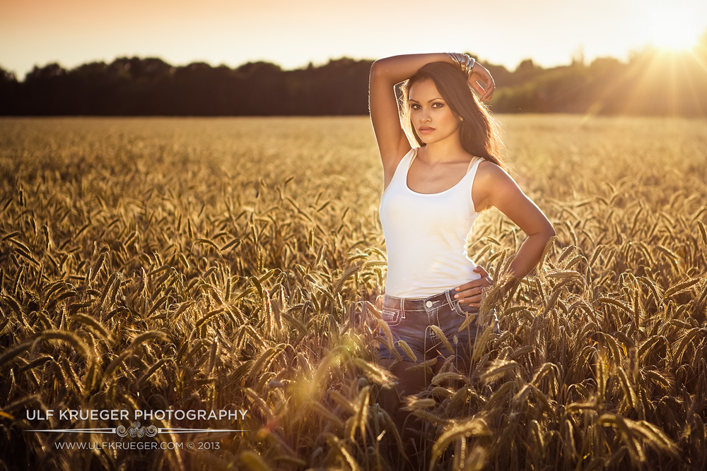 *Fields Of Gold II*