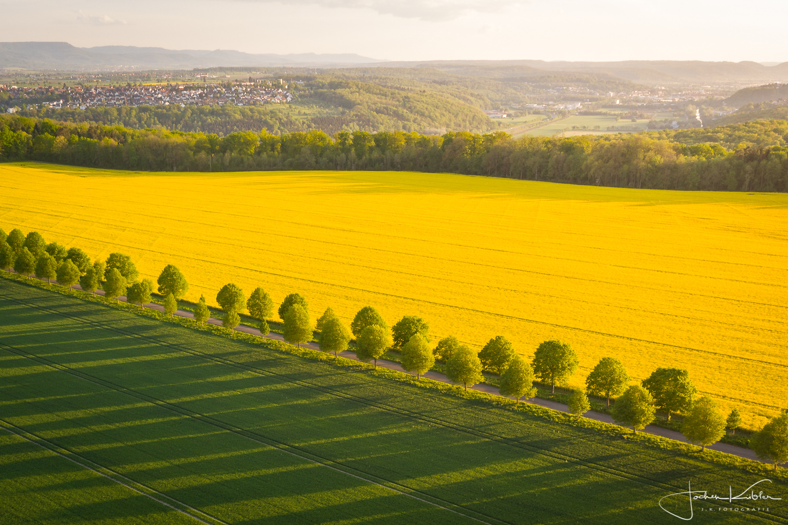 Fields of Green and Yellow