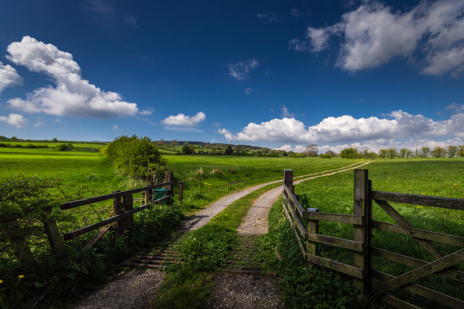 Fields of Green