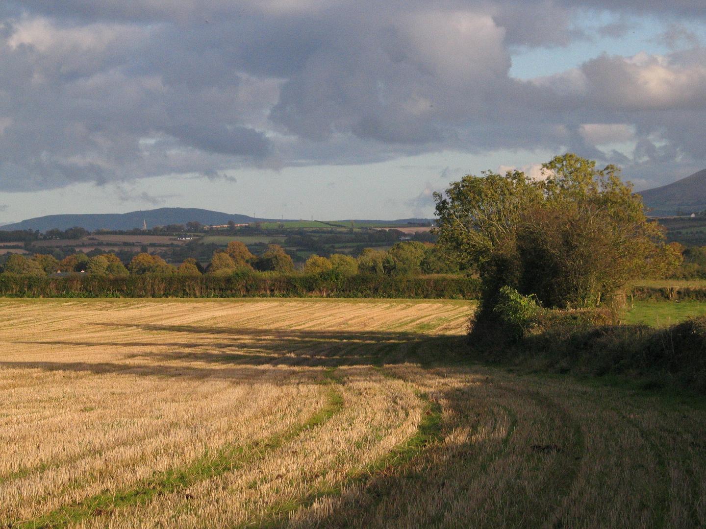 Fields of Ireland