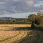 Fields of Ireland