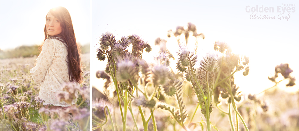 fields of purple.