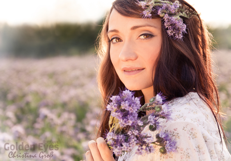 fields of purple II.