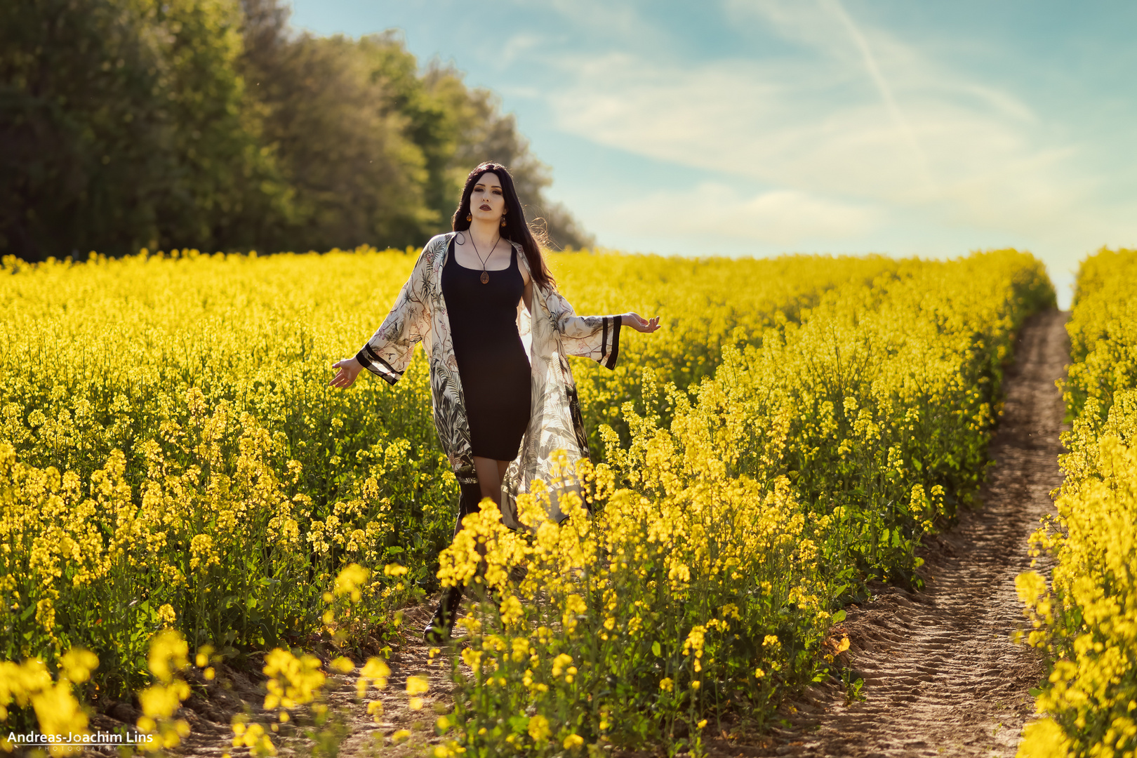 Fields of Rapeseed