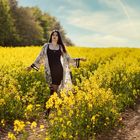 Fields of Rapeseed