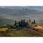 fields of siena