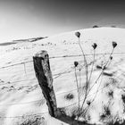 Fields of snow