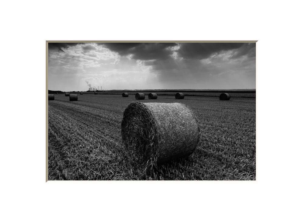 Fields with straw rolls