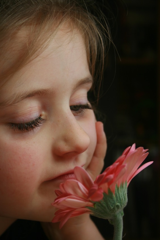 Fienchen und die Gerbera.