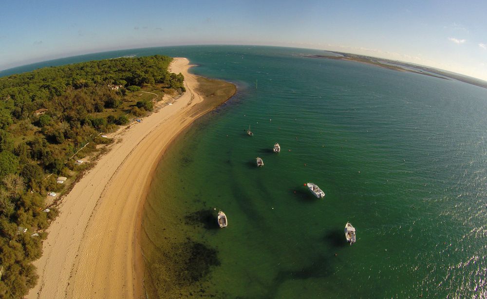 Fier d'Ars - Ile de Ré - France