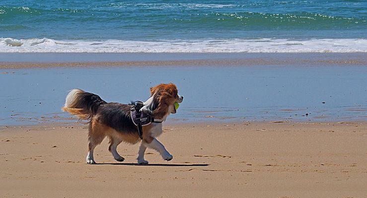 Fier d’avoir attrapé la balle