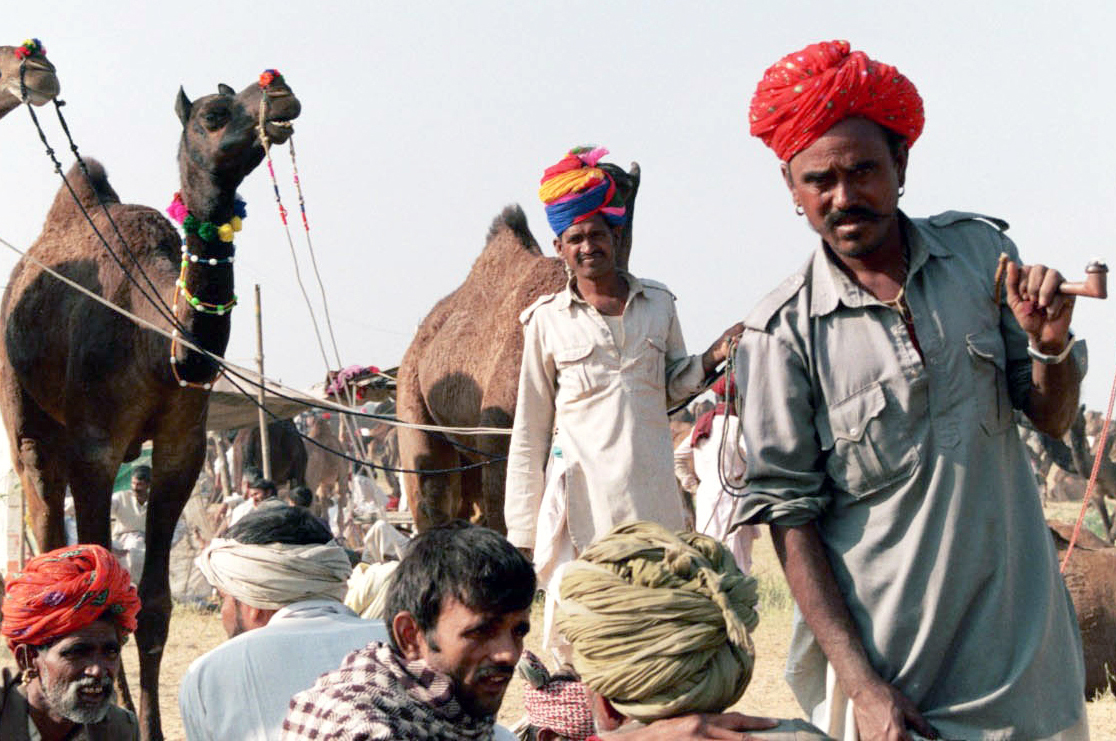 Fiera di camelli. Frontiera tra India y Pakistan