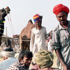 Fiera di camelli. Frontiera tra India y Pakistan