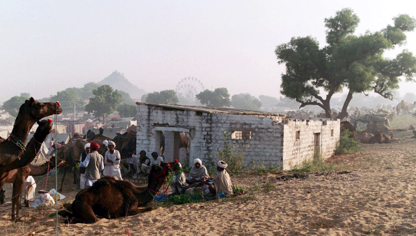 fiera di camelli india