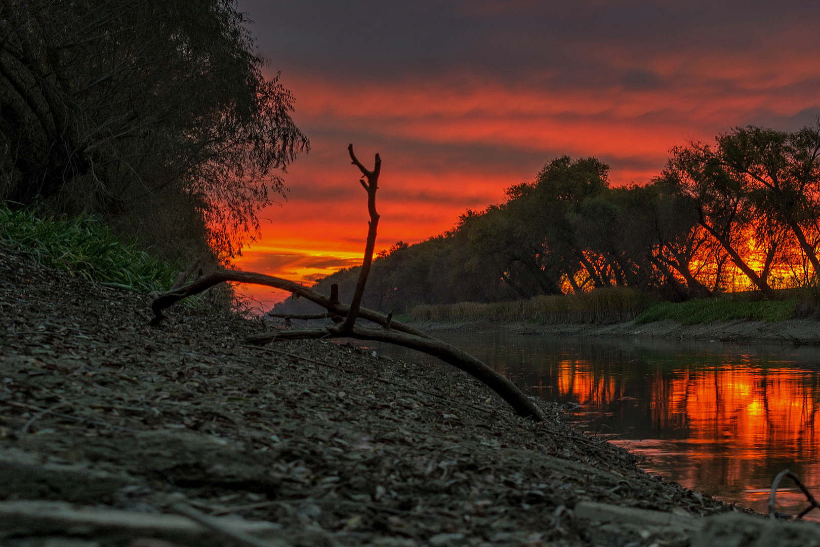 Fiery autumn sky