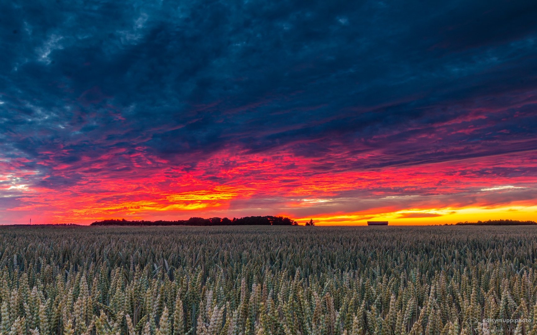 Fiery Sunset