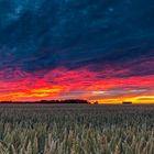 Fiery Sunset