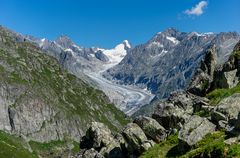 Fieschergletscher