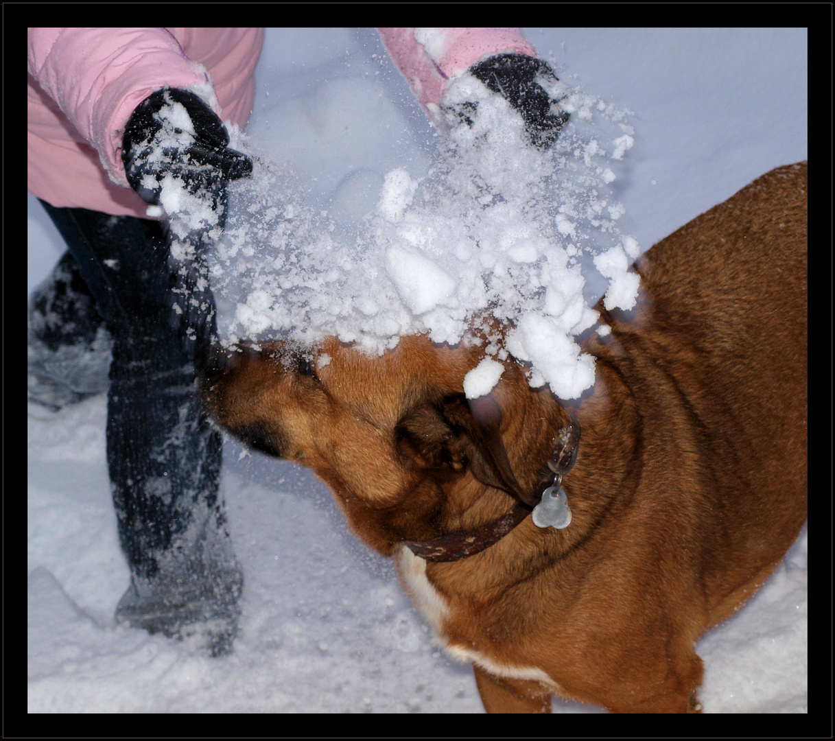 Fies...eine Ladung Schnee für Sirius....