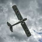 Fieseler Storch - 2