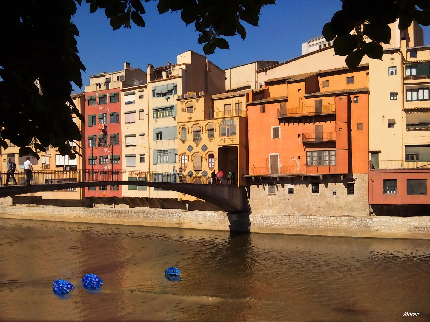 Fiesta de las flores en Gerona 1