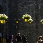 Fiesta de las flores en Gerona