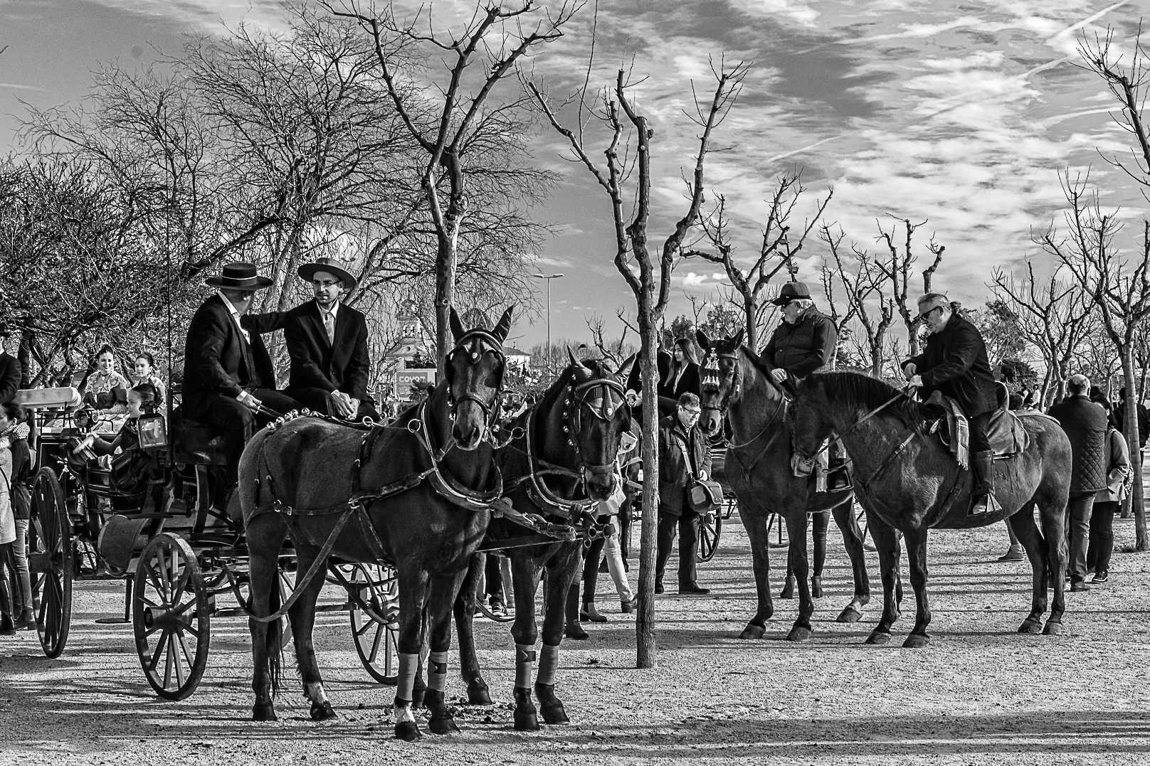   FIESTA DE SAN ANTONIO. Castellón     