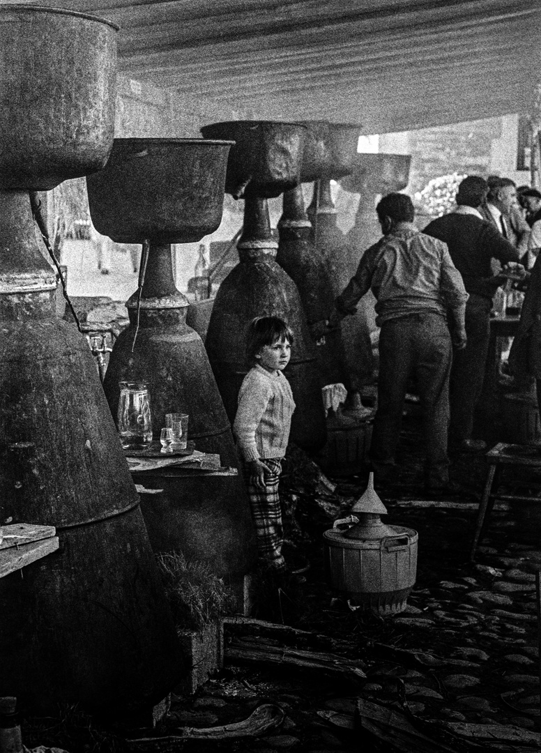 FIESTA DEL AGUARDIENTE EN PORTOMARÍAN