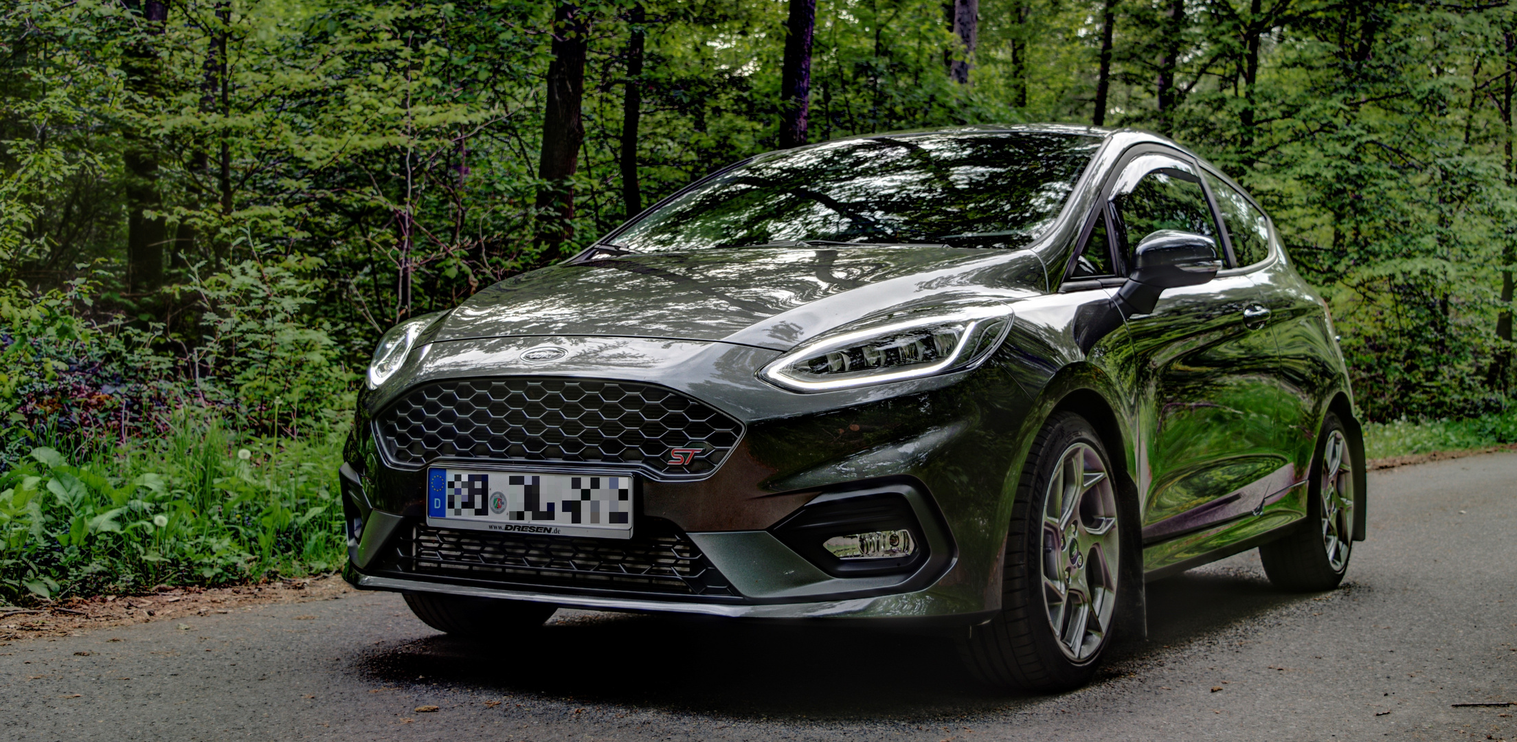 Fiesta ST im Wald