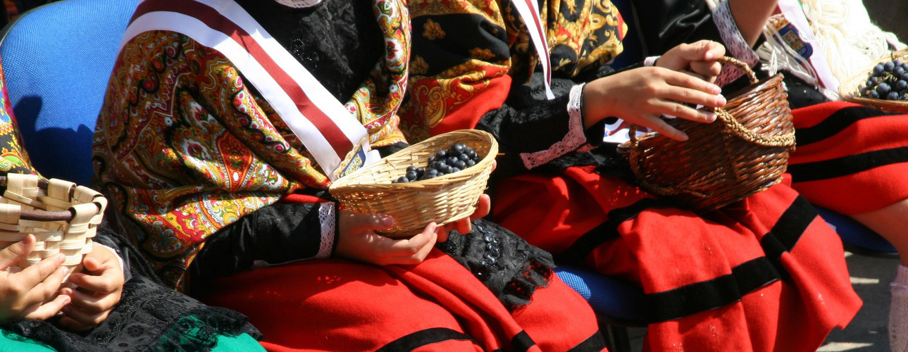 Fiestas de San Mateo en Logroño ( La Rioja), el día de la vendimia (21-09-2012)