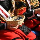 Fiestas de San Mateo en Logroño ( La Rioja), el día de la vendimia (21-09-2012)