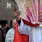 Fiestas de Sant Antoni Abat