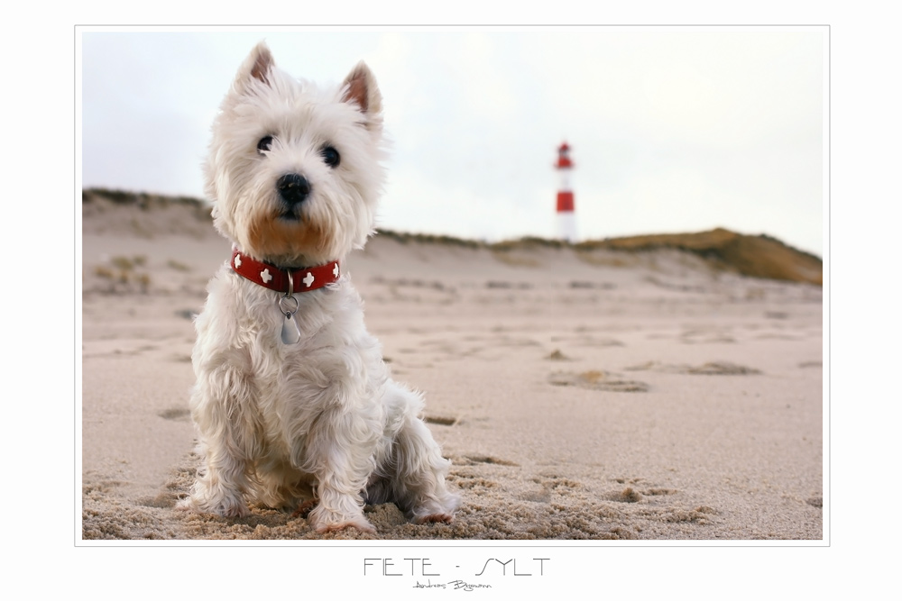 Fiete macht Urlaub