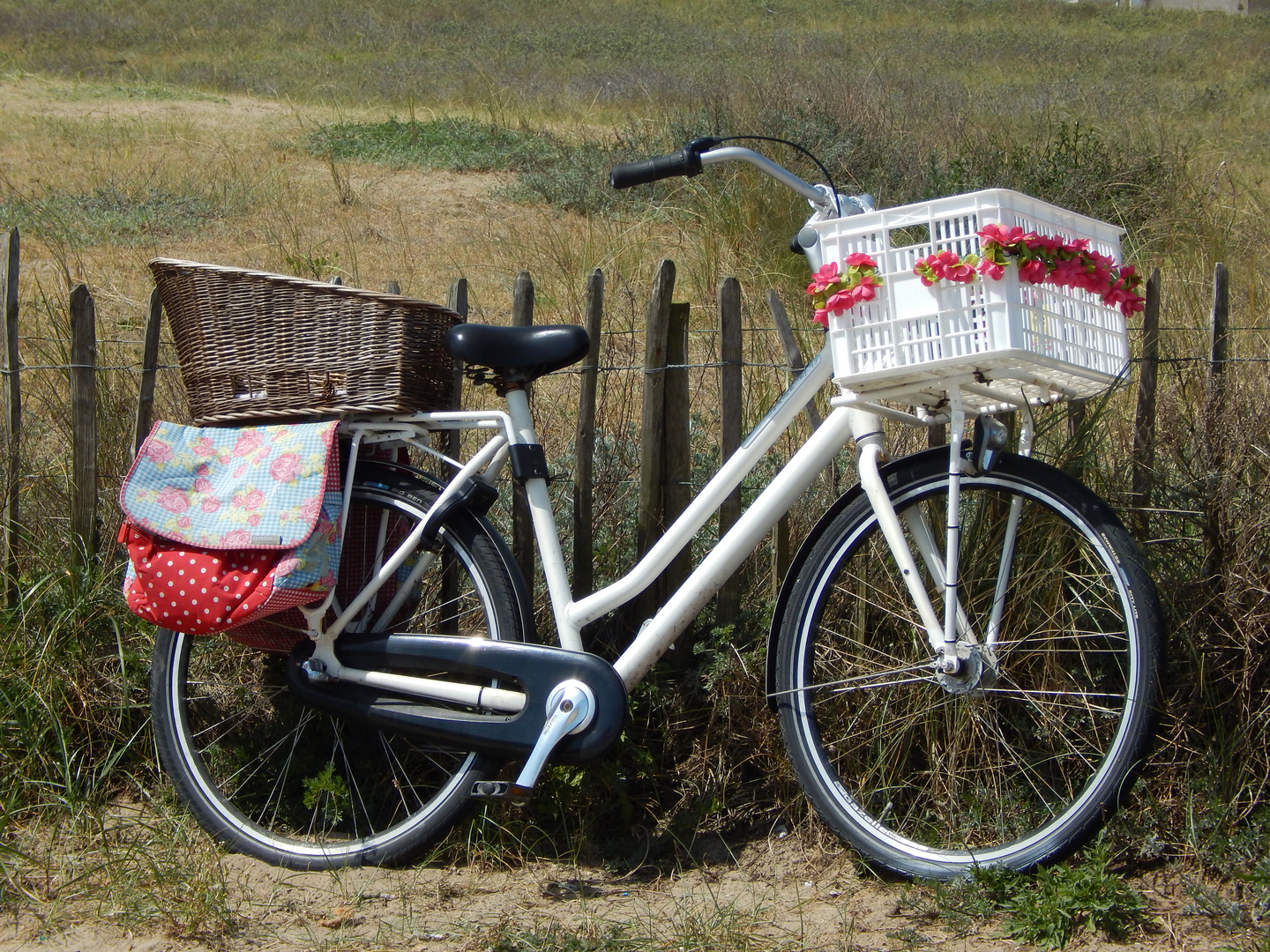 Fiets in Noordwijk