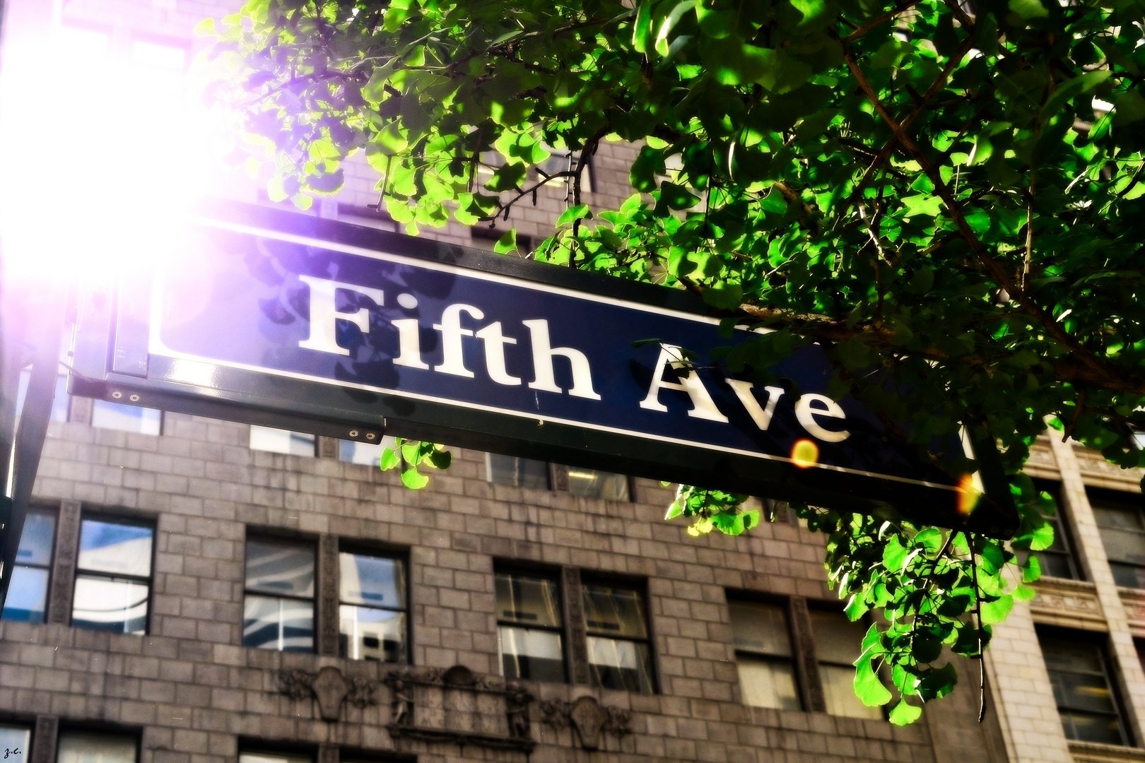 Fifth Avenue