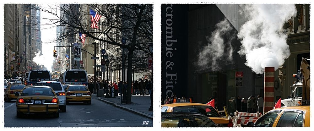 Fifth Avenue NY